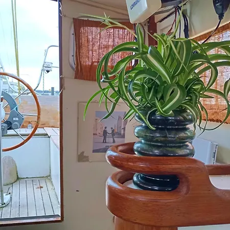 ספינת מלון Sailboat Retreat *